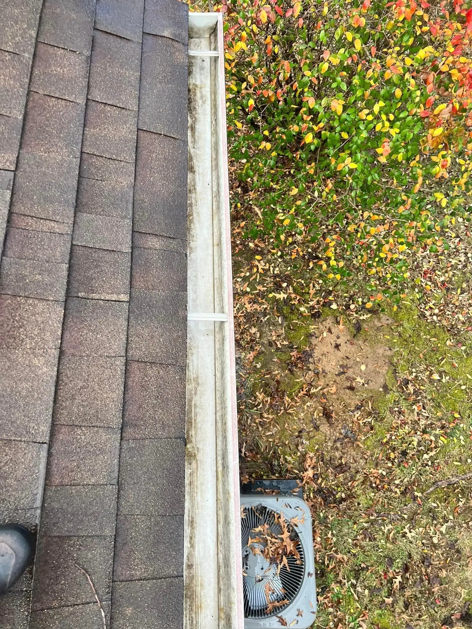 Commercial Roof Cleaning service in Southeast Missouri